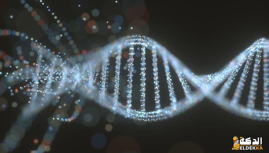 ما القاعده التي توجد في RNA ولاتوجد في DNA 4 القاعده التي توجد في RNA